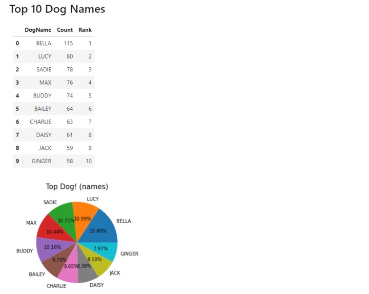 Dog Names – screenshot 2