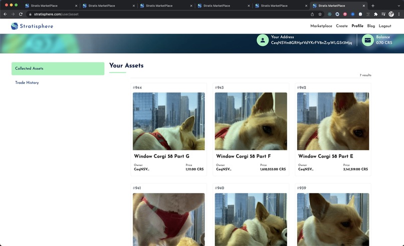 The First Corgi GIF Blog NFTs – screenshot 2