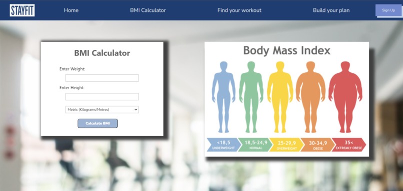 Stay Fit – screenshot 2