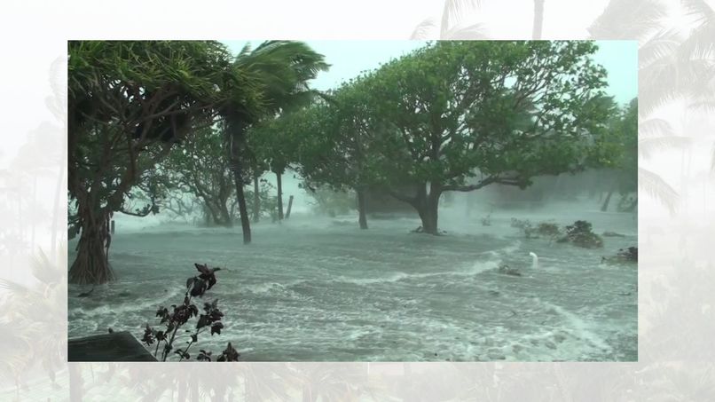 DisasterFix – screenshot 1