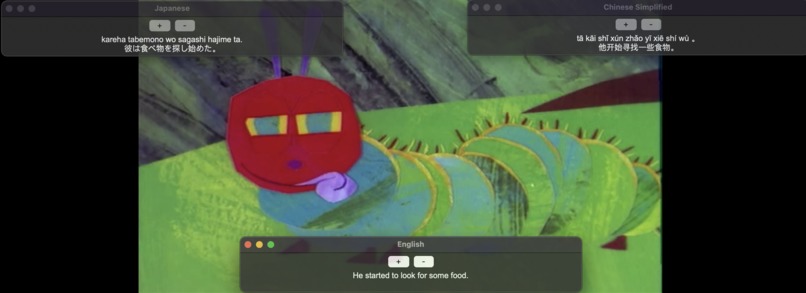 LingoCaptions – screenshot 2