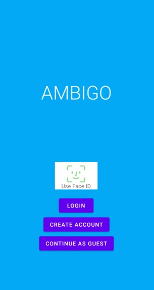 Ambigo – screenshot 1