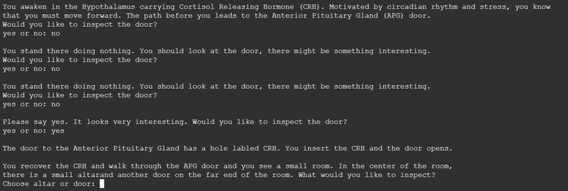 Hormone Adventure Game – screenshot 4