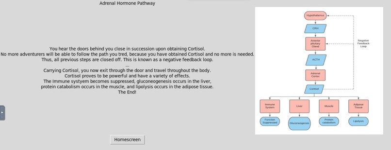 Hormone Adventure Game – screenshot 3