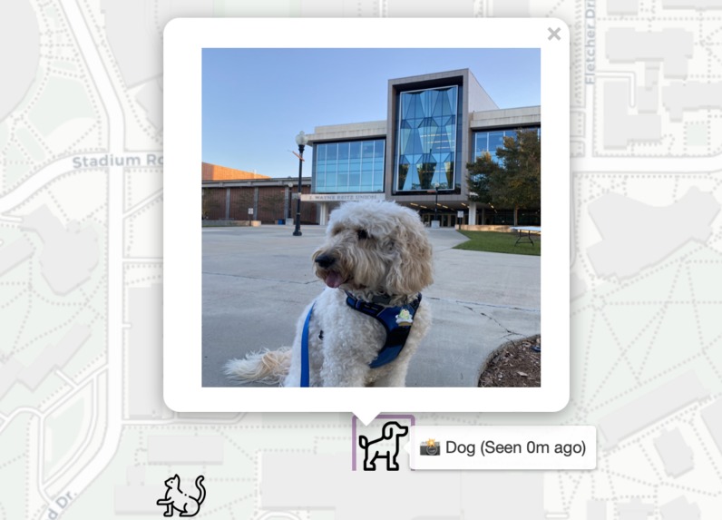 UF C.A.T Tracker - Campus Animal Tracker – screenshot 1