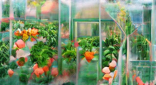 AI-Generated Greenhouse Art – screenshot 1
