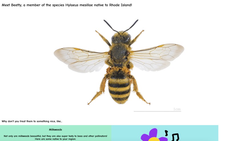 Bee Me Up! – screenshot 2