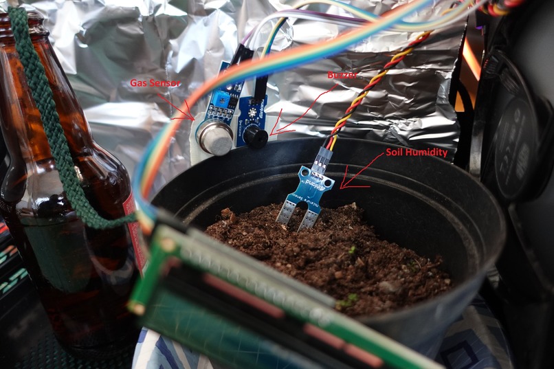 Tiny Plant Homes – screenshot 3