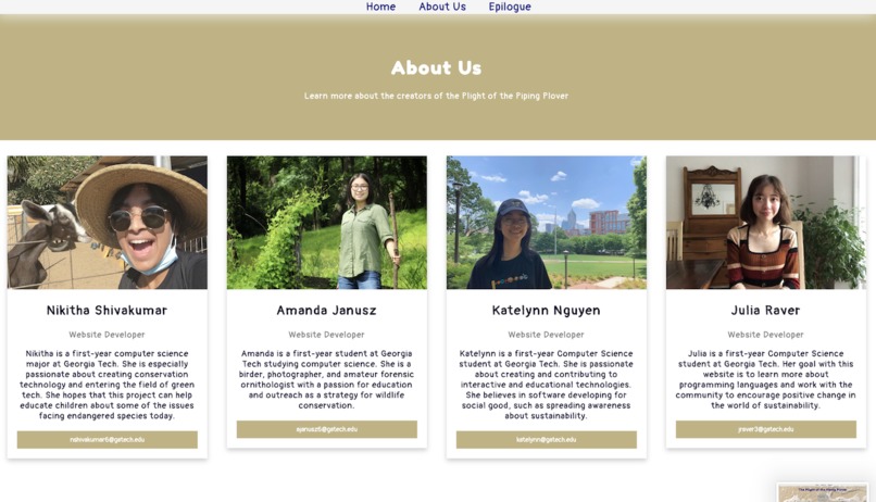 The Plight of the Piping Plover – screenshot 2