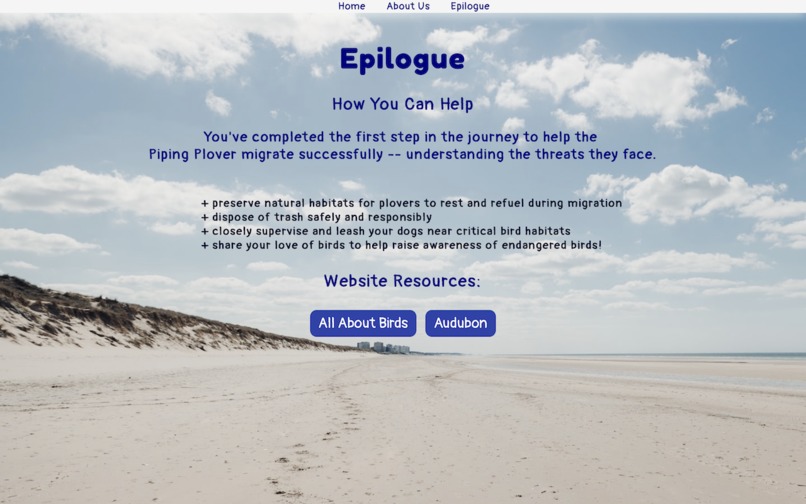 The Plight of the Piping Plover – screenshot 5