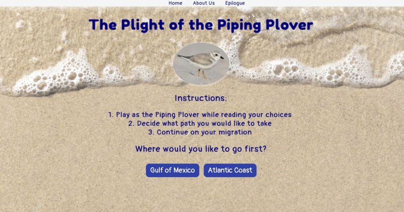 The Plight of the Piping Plover – screenshot 1
