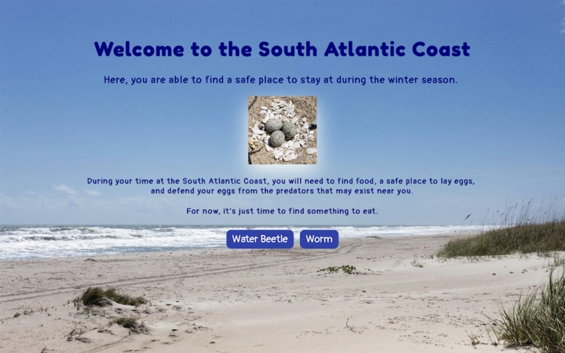The Plight of the Piping Plover – screenshot 3