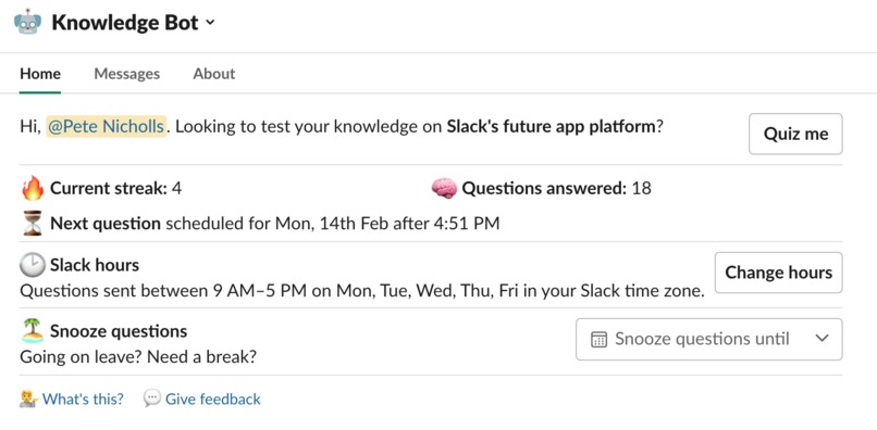 Knowledge Bot – screenshot 2