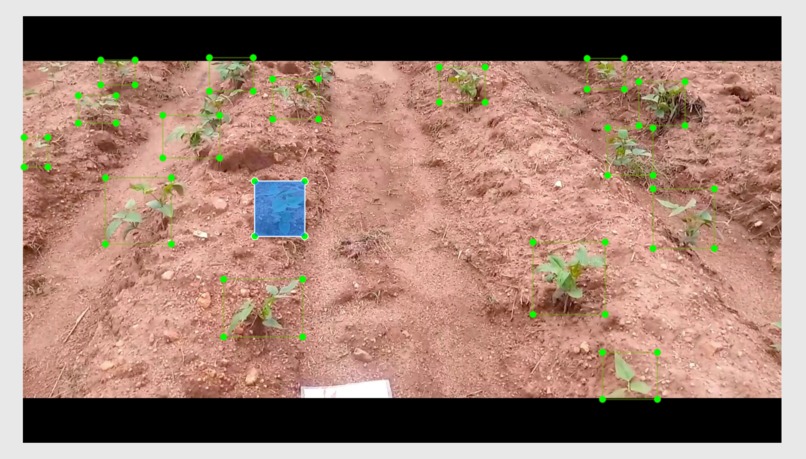 Drones for Plant Health Monitoring. – screenshot 1