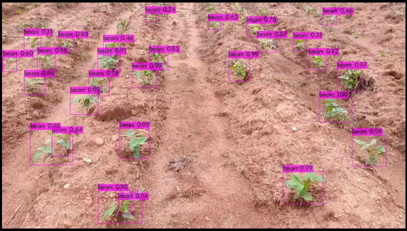 Drones for Plant Health Monitoring. – screenshot 2