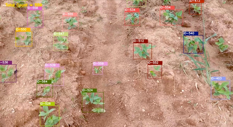 Drones for Plant Health Monitoring. – screenshot 3