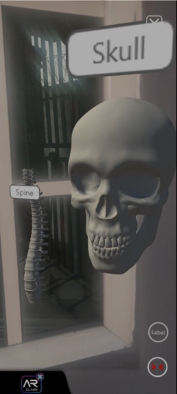 ARClass Biology – screenshot 1