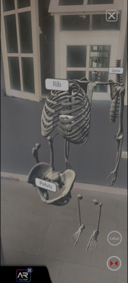 ARClass Biology – screenshot 4