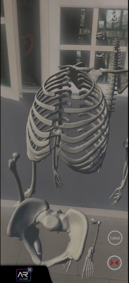 ARClass Biology – screenshot 5