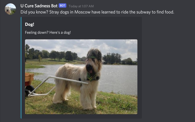 UCSB (U Cure Sadness Bot) – screenshot 3