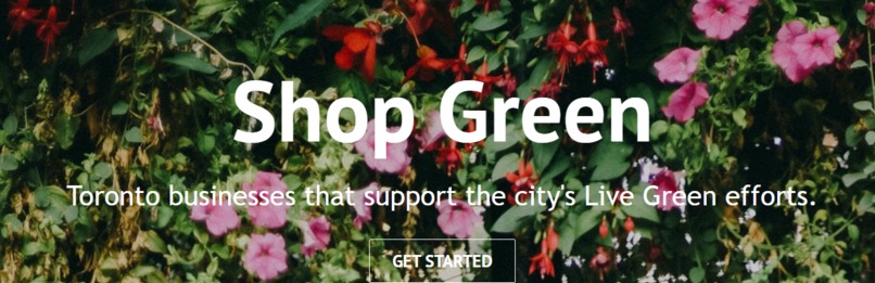 ShopGreen – screenshot 2