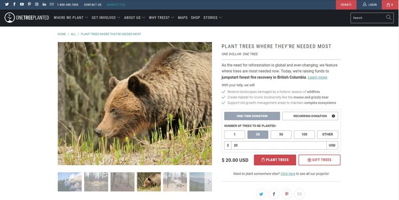TreeCode – screenshot 5