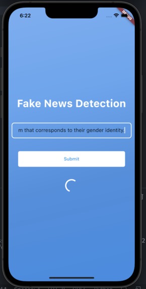 Fake News Detection – screenshot 2