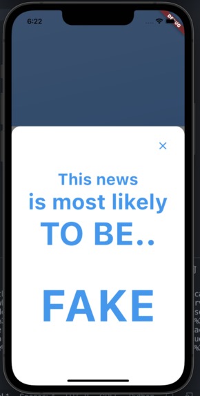 Fake News Detection – screenshot 4