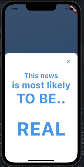 Fake News Detection – screenshot 3