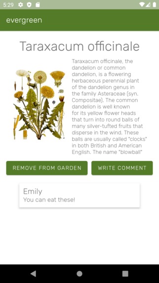 evergreen – screenshot 2