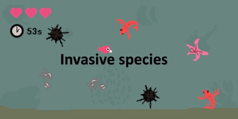 Back to sea – screenshot 4