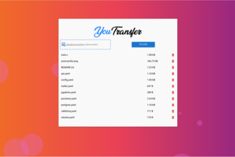 YouTransfer
