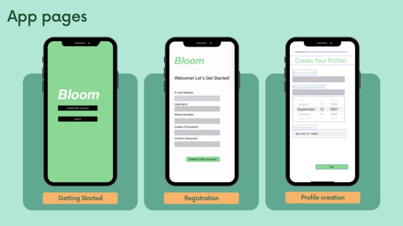 Bloom – screenshot 5