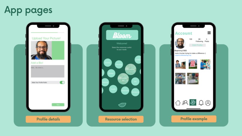 Bloom – screenshot 6