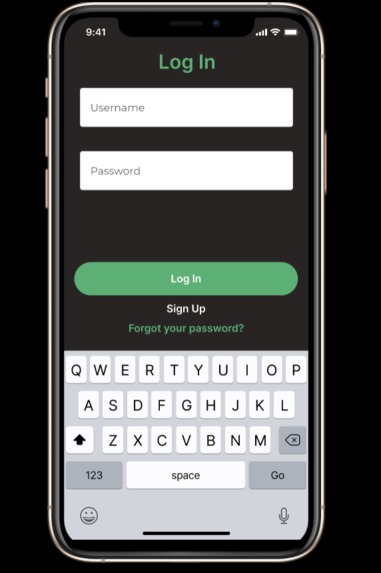 The Bag – screenshot 2