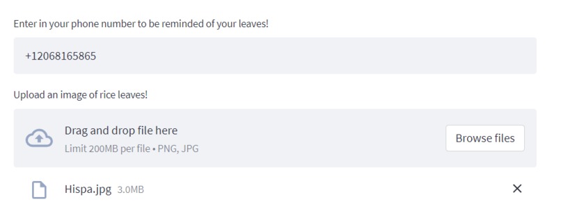 HealthRice – screenshot 2