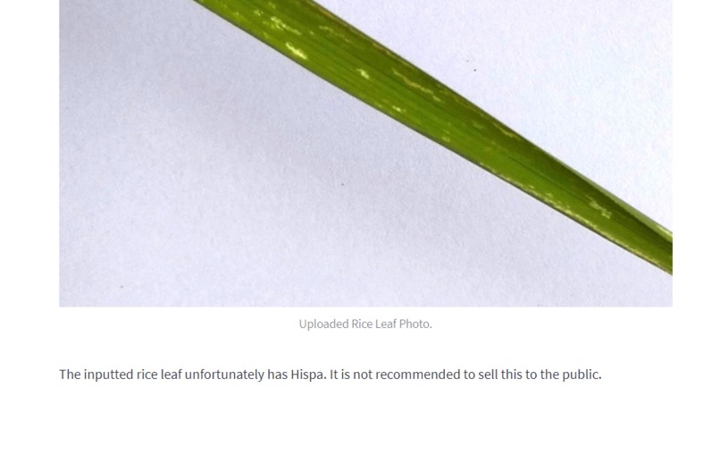 HealthRice – screenshot 3