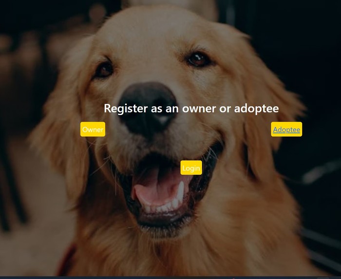 Adopt a dog – screenshot 1