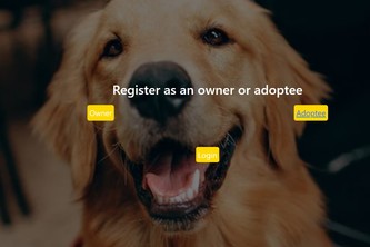 Adopt a dog