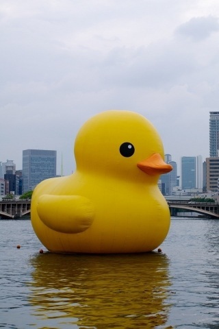 DUCK – screenshot 1