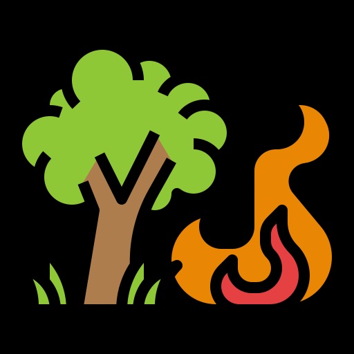  Smokey Bear – screenshot 1