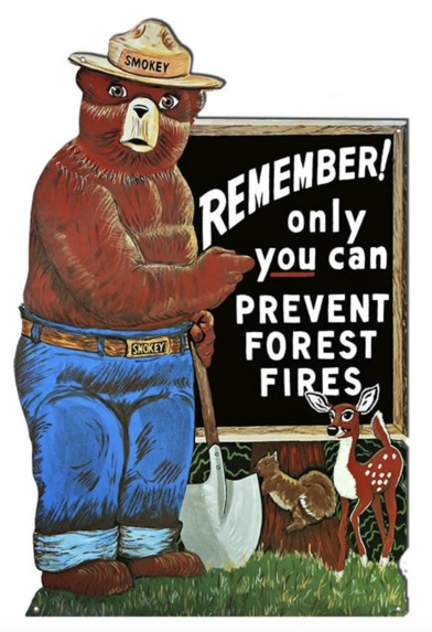  Smokey Bear – screenshot 3