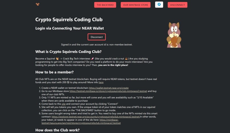 Crypto Squirrels Coding Club – screenshot 2