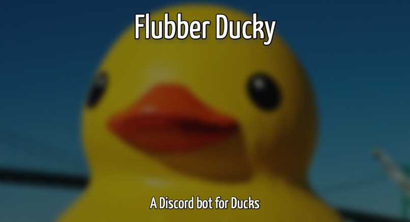 Duck News – screenshot 1