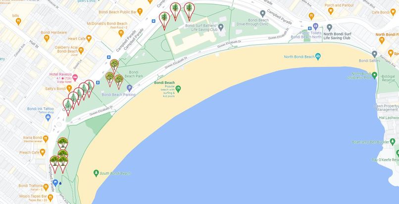 Cool Trees NFTs – screenshot 2