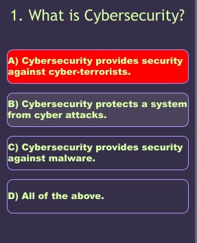 Cybersecurity Quiz – screenshot 4