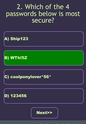 Cybersecurity Quiz – screenshot 3