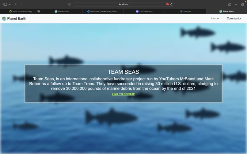 Planet Earth – screenshot 3