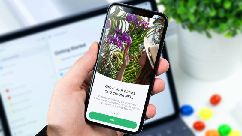 SmartGrow – screenshot 1