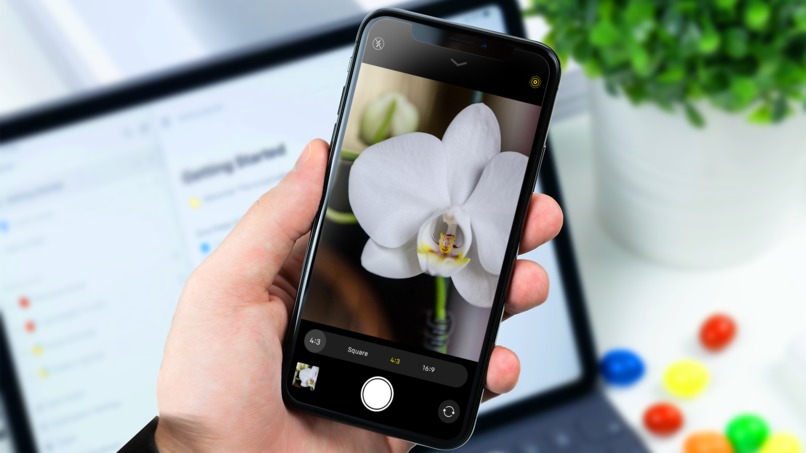 SmartGrow – screenshot 2